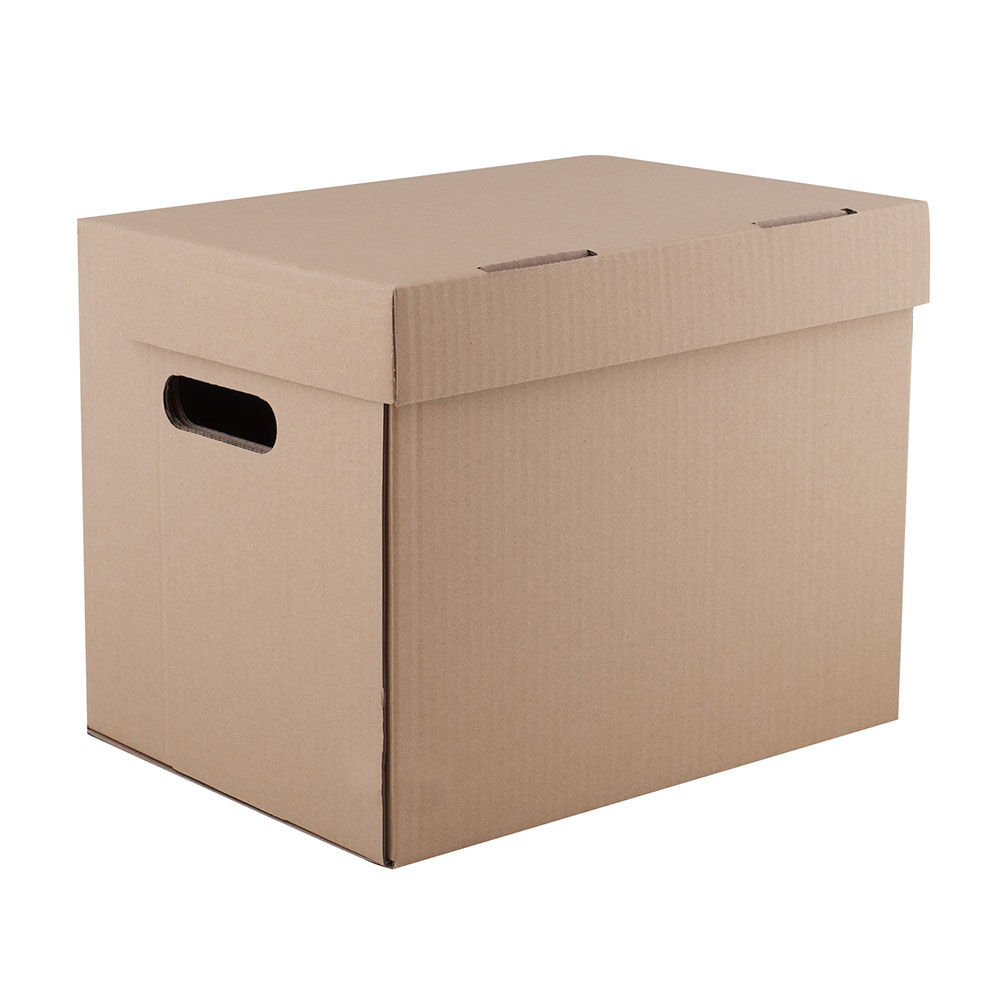Archyvinė dėžė su dangčiu 250×340 x260mm 110735 LEVIATAN, D06-305