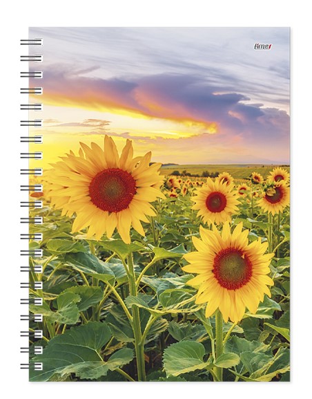 Darbo knyga KANCLERIS SPIRAL DAY Sunflower 2417342470 TIMER, B13-8907