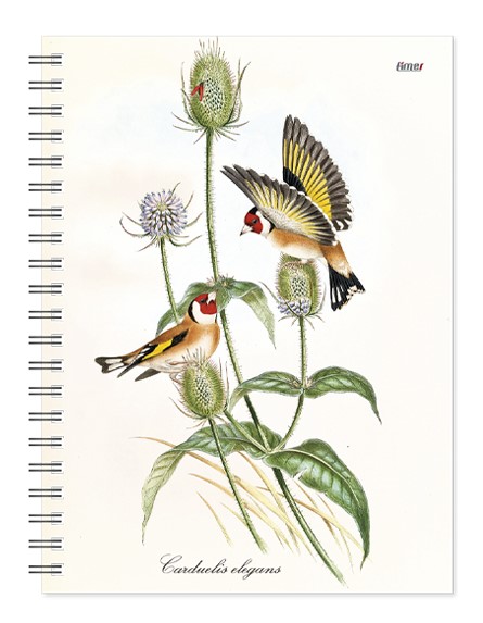 Darbo knyga KANCLERIS SPIRAL DAY Birds 2417342622 TIMER, B13-8908