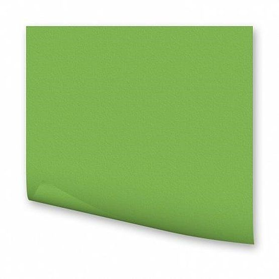 Popierius 50x70cm 130g žolės žalia 6755+11111 FOLIA, B06-8309