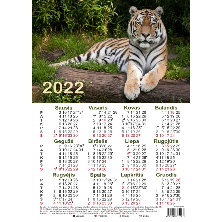 Kalendorius plakatas A3 2022m TIGRO METAI 4771449872027, B13-737