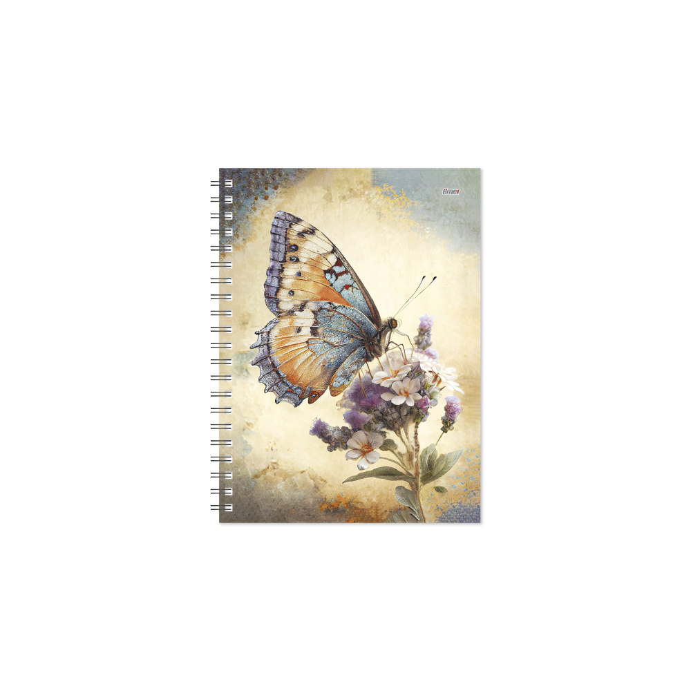 Darbo knyga KANCLERIS Spiral DAY Butterfly 2417342550 TIMER, B13-8884