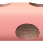 Pieštukas GROOVE TRIPLE ONE šviesiai rožinis L3830032 FILA/LYRA, R06-736